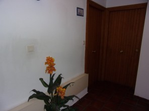 Detalles